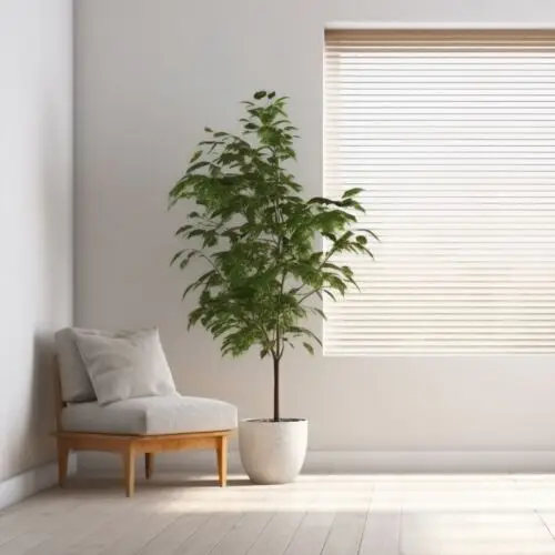 Estore Laminado -  25mm (CORES ESPECIAIS)